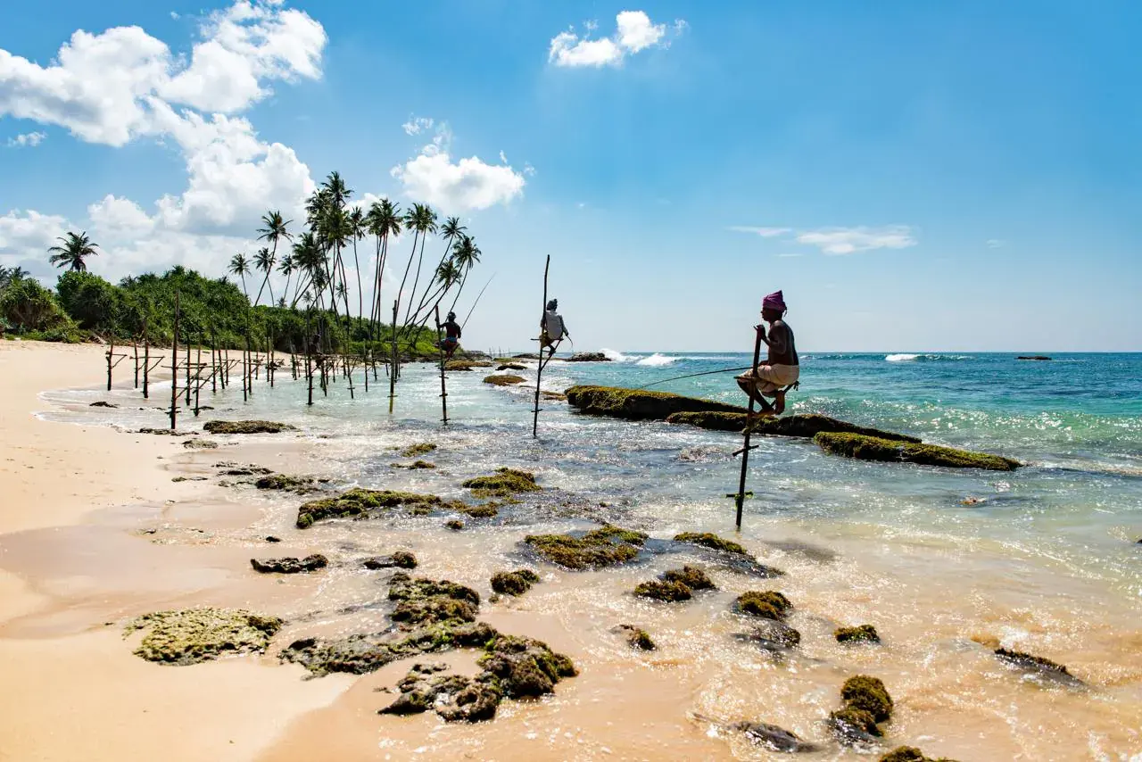 Traditional stilt fishermen off Sri Lanka's southern coast