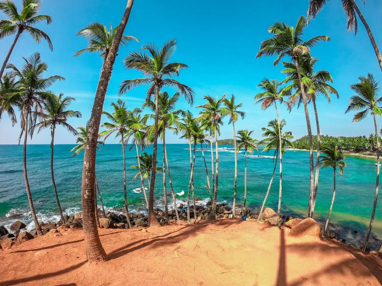 Palm-lined tropical shoreline beside turquoise water